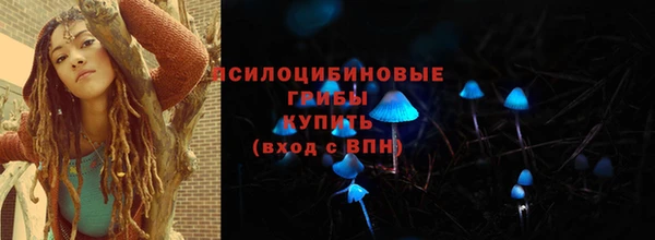 шишки Балабаново